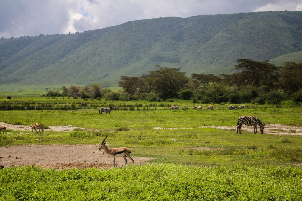Enceinte en Tanzanie : conseils pour un voyage serein