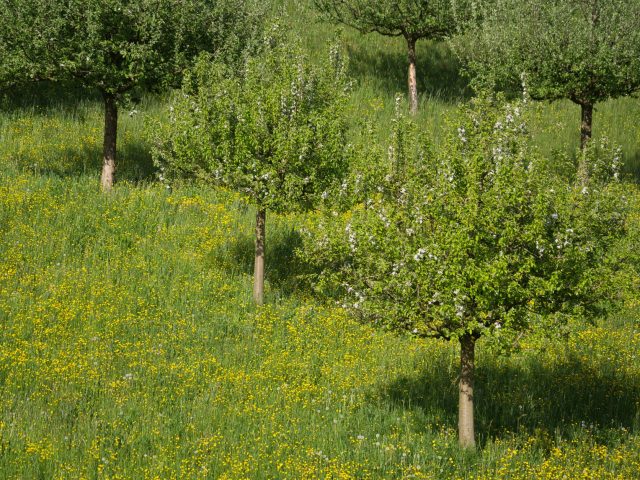 Préparer son corps aux allergies saisonnières