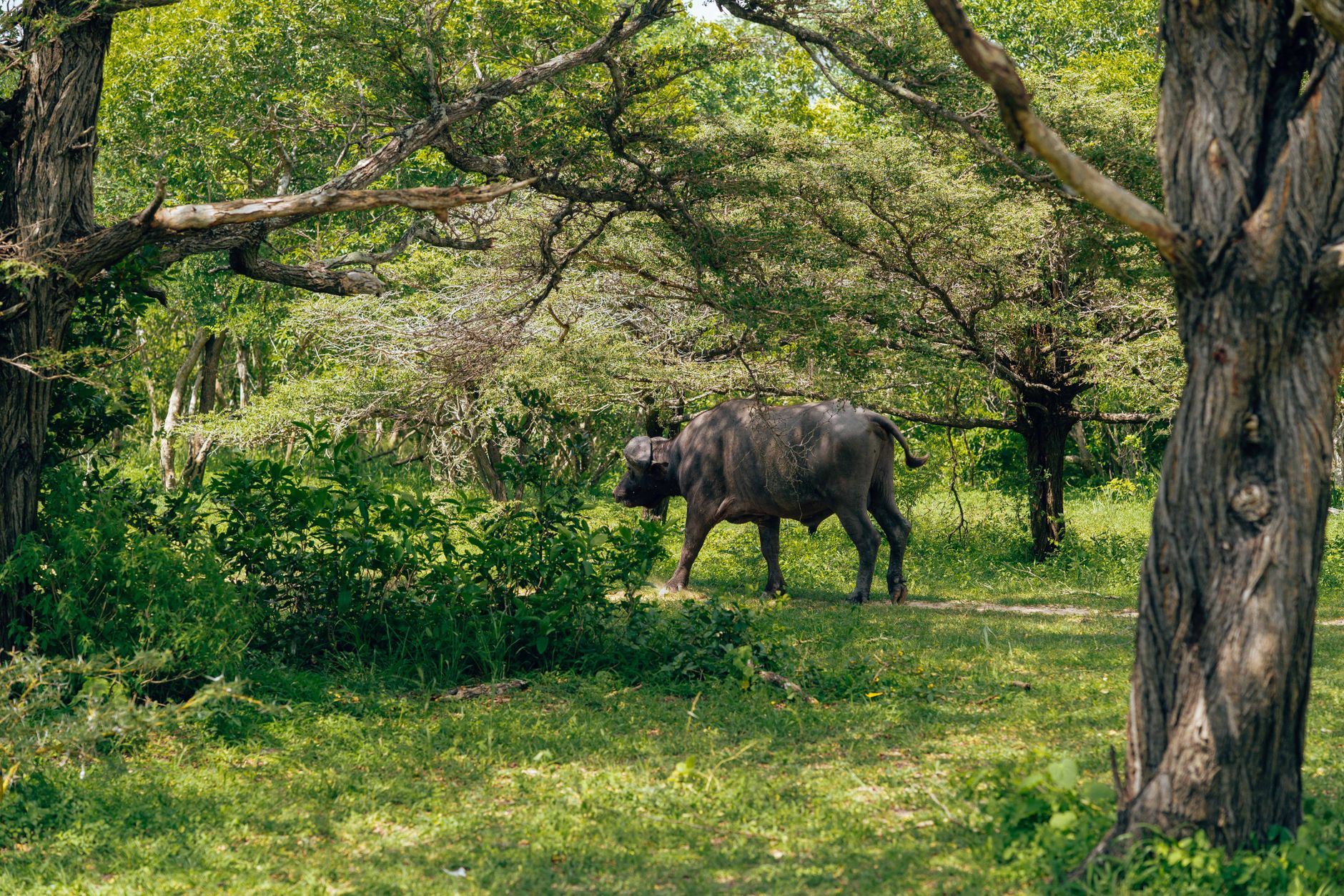 Enceinte en Tanzanie : conseils pour un voyage serein